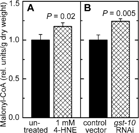 Effect of increased 4‑HNE levels on malonyl-CoA concentration