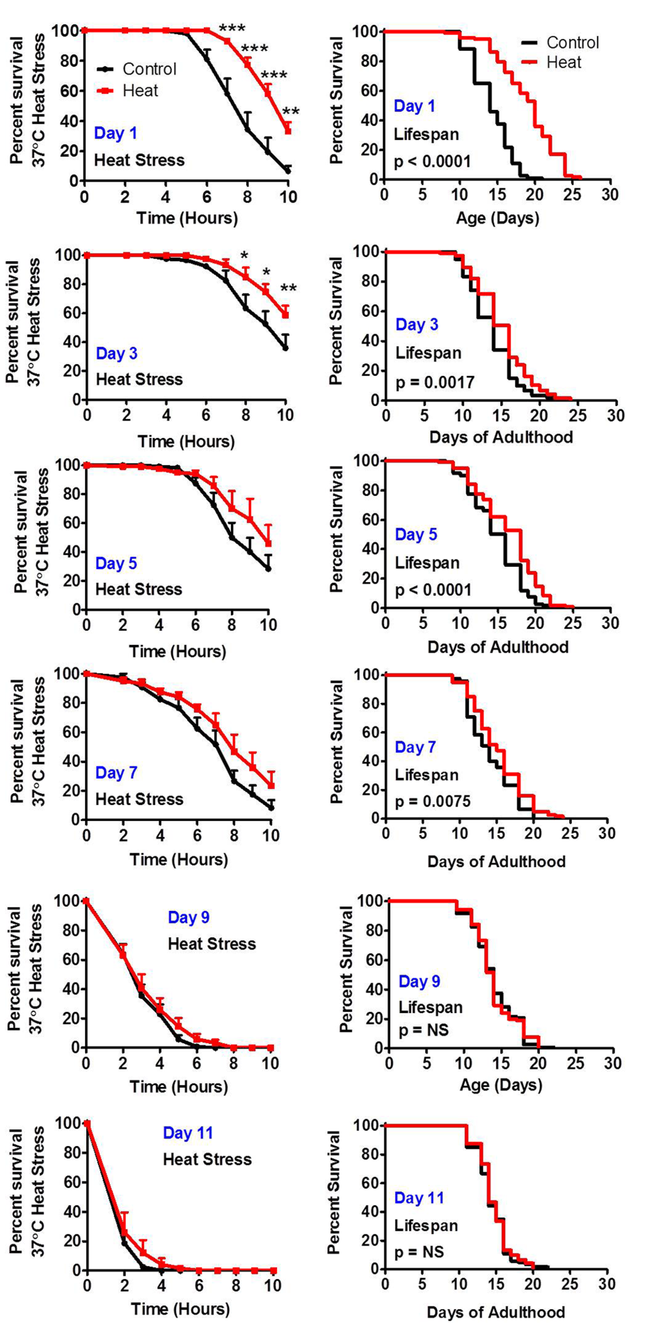 The ability to respond to stress decreases with age