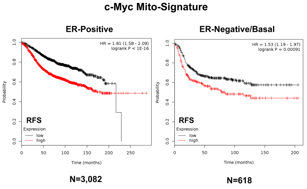A short c-Myc-related mitochondrial signature predicts poor clinical outcome, in both ER(+) and ER(-) breast cancer patients. Note that this short 3-gene signature (HSPD1/COX5B/TIMM44) also effectively predicts tumor recurrence in larger populations of both ER(+) [N=3,082] and ER(-) [N=618] breast cancer patients. RFS, recurrence-free survival.