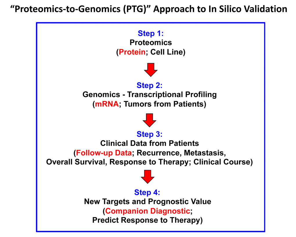 The “Proteomics-to-Genomics (PTG)” approach for the in silico validation of new biomarkers and novel drug targets. In this flow-diagram, proteomics data from a cellular model is directly used to interrogate existing genomics data (transcriptional profiling) from clinical samples, which are linked to follow-up data. This approach directly allows for the in silico validation of i) the prognostic value (of a given candidate biomarker) and ii) helps to generate new targets for drug discovery, by directly demonstrating their clinical relevance.
