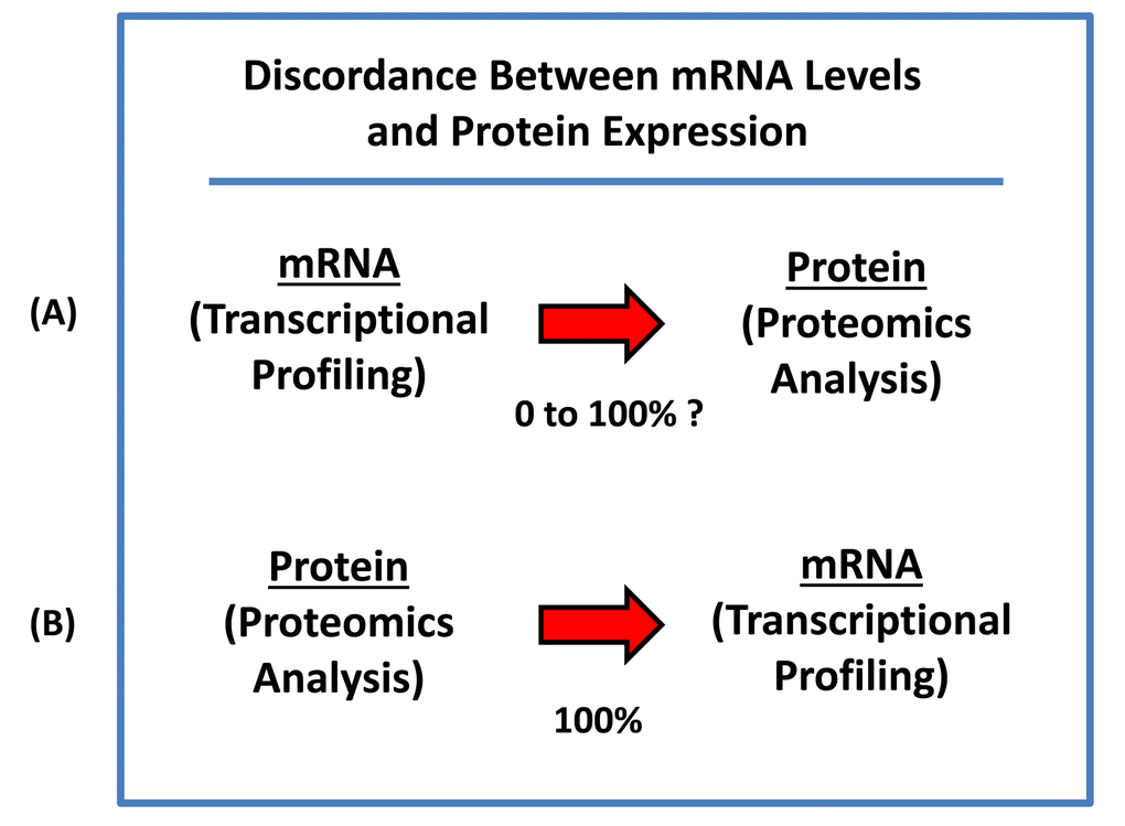 mRNA levels do not correlate with protein levels, creating a bottle-neck for protein biomarker discovery. (A) Concordance between mRNA and protein is actually quite variable and completely unpredictable, ranging anywhere between 0 and 100%. This discordance between mRNA and protein expression levels ultimately makes it very difficult or nearly impossible, to use transcriptional profiling data for the development of new protein biomarkers as companion diagnostics. (B) Our new “Proteomics-to-Genomics (PTG)” strategy provides a simple straightforward solution to this practical problem. By starting out with proteomics data first and then integrating it with existing transcriptional profiling data, this allows one to quickly identify and select a sub-set of genes, with tight correlations, nearing 100%. It essentially allows one to “work-backwards”, providing a much needed systematic “short-cut” to protein biomarker discovery.