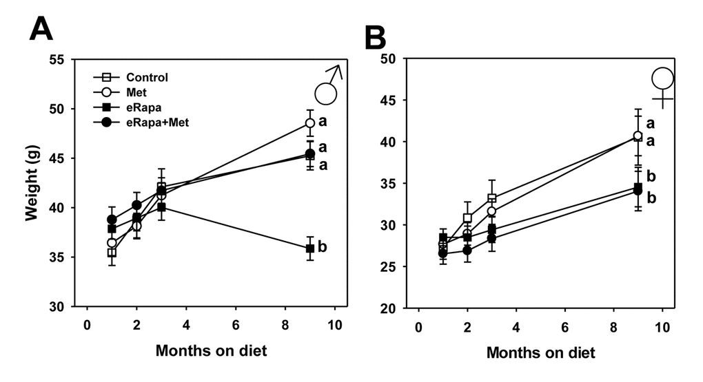 Metformin prevents rapamycin-induced weight loss in male mice. Body weights over time for (A) male and (B) female HET3 mice fed control (open square) diet or diets containing metformin (open circle), rapamycin (closed square), or both metformin and rapamycin (closed circle). Symbols represent mean values at indicated time point ± SEM. For all groups, n=10. Letters indicate significant difference among groups.