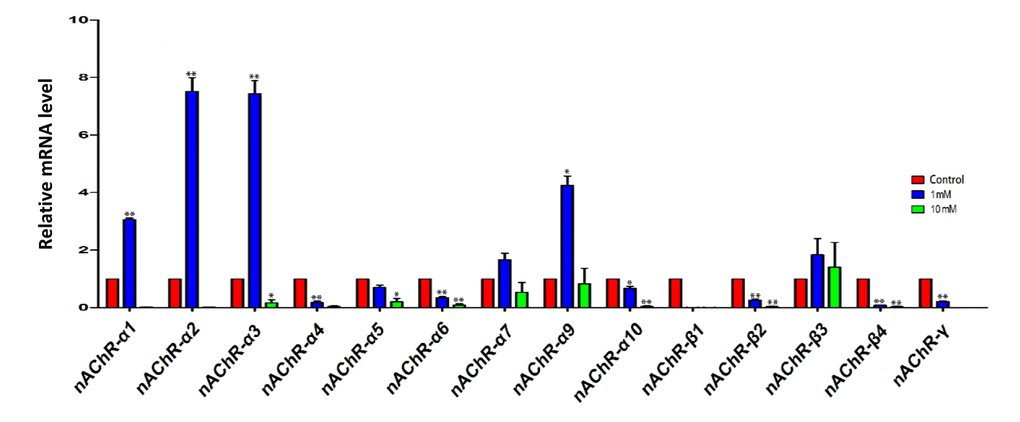 qRT-PCR analysis of nicotinic acetylcholine receptor (nAChRs) subunit mRNA in fetal ovaries cultured for 4 days in the presence of 1mM or 10mM nicotine. The expression levels were normalized to that of Gapdh gene as a control. All experiments were repeated at least three times. Results are presented as mean ± SD in comparison to control. (*) and (**) indicate significant (P 
