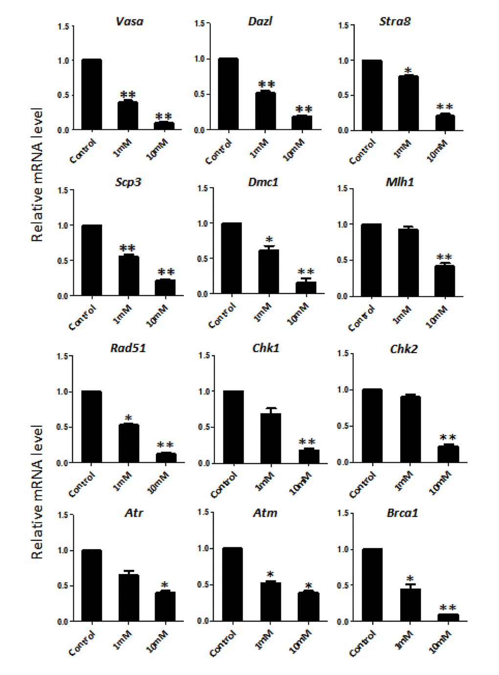 Dose-dependent nicotine decrease of mRNAs of germ cell specific and meiotic genes in fetal ovaries cultured for 4 days evaluated by qRT-PCR. The expression level was normalized to that of Gapdh gene. All experiments were repeated at least three times. Results are presented as mean ± SD. (*) and (**) indicate significant (P 