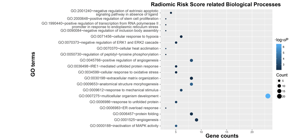 Functional annotation of radiomic risk score groups. Gene ontology analysis revealed a significant association among genes with increased expression in the high-risk radiomic risk score group and twenty main pathways. Column size: gene counts; point color: enrichment P value.