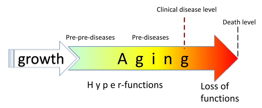 Relationship between aging and diseases. When growth is completed, growth-promoting pathways increase cellular and systemic functions and thus drive aging. This is a pre-pre-disease stage, slowly progressing to a pre-disease stage. Eventually, alterations reach clinical disease definition, associated with organ damage, loss of functions (functional decline), rapid deterioration and death.