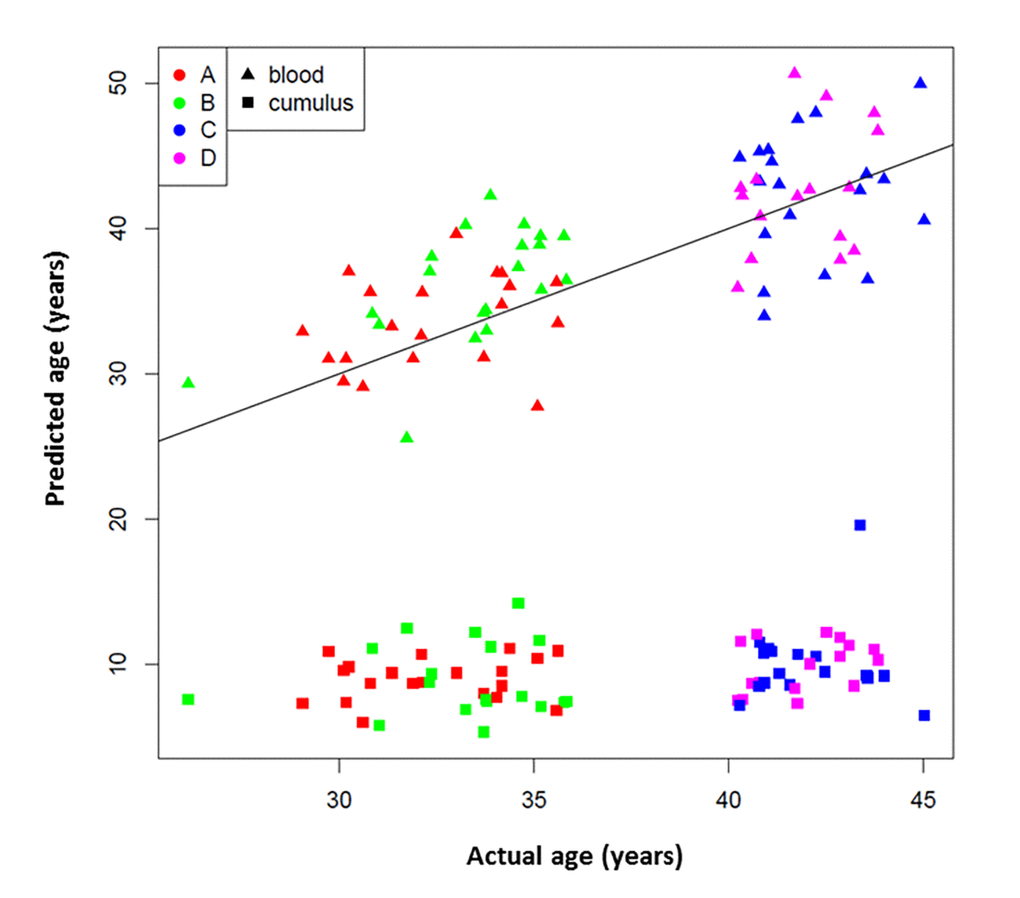 353 CpG “epigenetic clock” age prediction in white blood cells and cumulus cells. Black line indicates a perfect prediction of chronological age (y=x). Study groups are indicated with colors: Red A= 40 years old and poor responder (≤4 mature follicles) and magenta D= >40 years old and good responder (≥12 mature follicles). Tissue types are indicated by symbols.