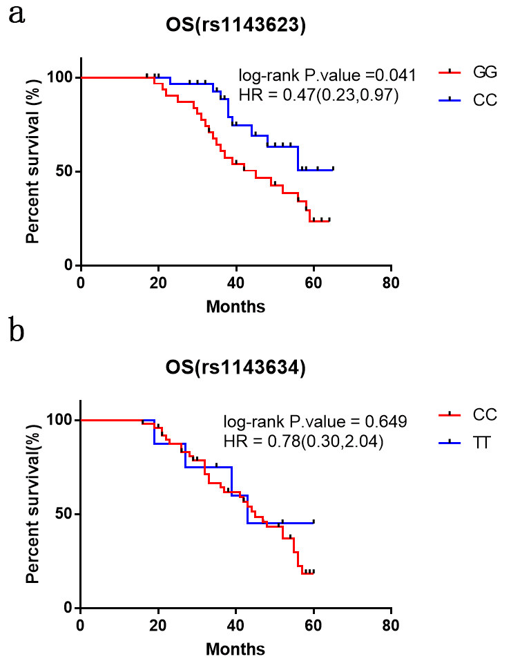Kaplan–Meier analysis of overall survival of CRC patients with IL-1B rs1143623 and rs1143634 polymorphisms. Differences in the overall survival of the patients with different genotypes of polymorphisms (a) rs1143623 and (b) rs1143634.