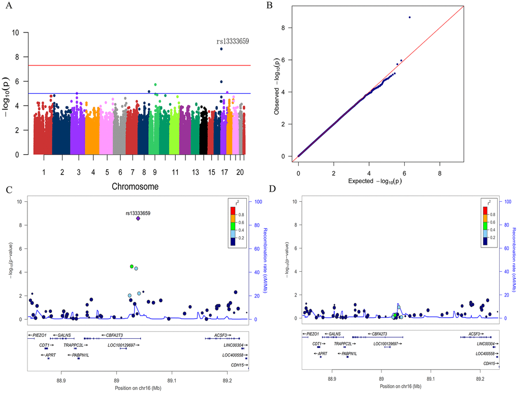 Manhattan plot (A), quantile-quantile plot (B) and regional plots (C and D) for the GWAS of longitudinal changes of CSF Aβ42. (A) A genome-wide significant association (P −8; red line) with longitudinal change of CSF Aβ42 was identified on chromosome 16 within CBFA2T3. Suggestive associations are at the threshold of P −5 (blue line). (B) Quantile-quantile plot. (C) Regional association results for the 88.9 Mb to 89.2 Mb region of chromosome 16. (D) Association results for the 88.9 Mb to 89.2 Mb region of chromosome 16 controlling for rs13333659.