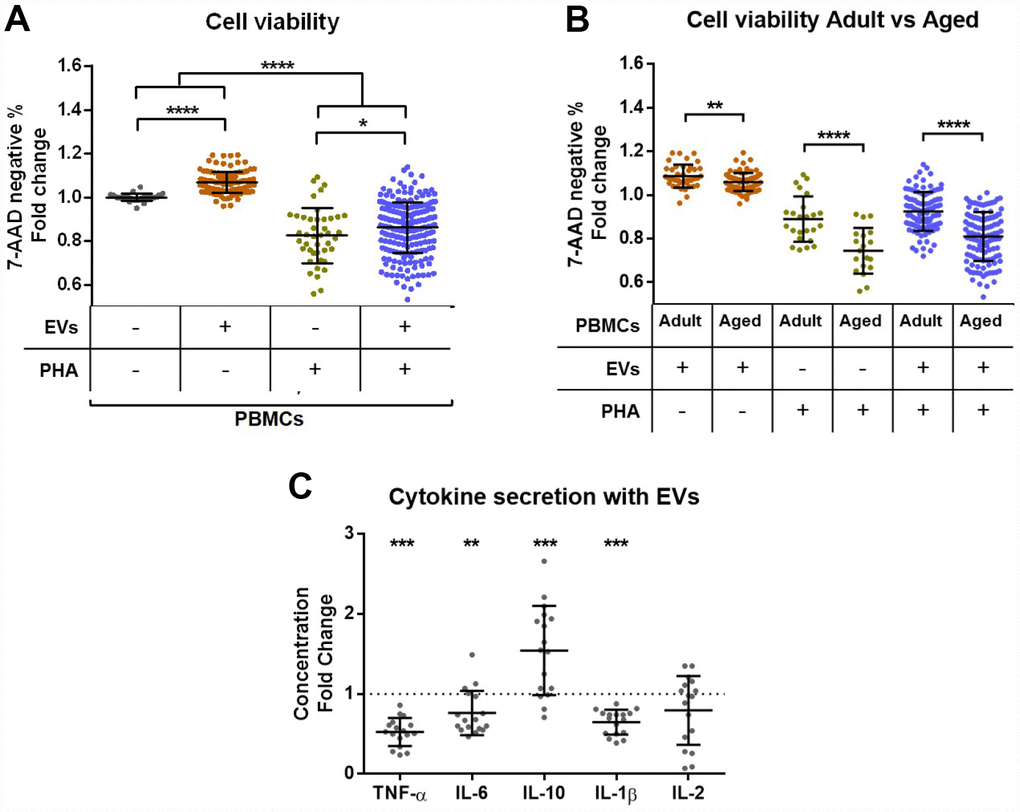 Effect of extracellular vesicles from plasma on PBMC viability and cytokine secretion in vitro. PBMCs from donors of all age ranges were cultured for 72h in the presence or not of PHA or/and plasma EVs and then analyzed by flow cytometry. (A) Cell viability is reduced after stimulation with PHA, while the coculture with EVs improves viability. (B) The positive effect of plasma EVs on cell viability is stronger in cells from adults (20–49 years) than aged (80-101 years) individuals. (C) The analysis of conditioned media by luminex showed a reduced secretion of proinflammatory cytokines TNF-α, IL-6 and IL-1β and an increased secretion of anti-inflammatory IL-10 by stimulated cells cocultured with EVs compared to stimulated cells without EVs.