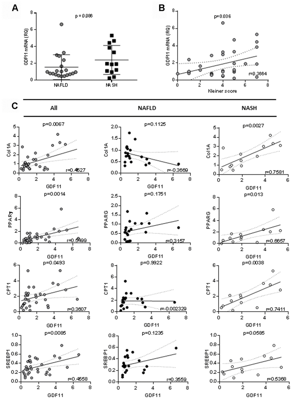 Correlation between GDF11 mRNA levels, clinico-pathologic characteristics and gene expression in morbidly obese patients (n=33). Correlations between GDF11 mRNA levels and (A) NAFLD or NASH, (B) Kleiner score (0-8) and (C) expression levels of Col1A1, SREBP1, PPARγ and CPT1 in the whole cohort of morbidly obese patients (n=33) and subgroups with NAFLD (n=20) or NASH (n=13). The Pearson correlation’s coefficient is shown.