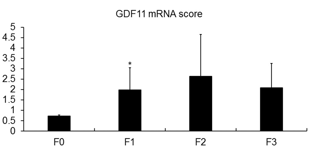 Association of GDF11 expression with liver fibrosis. GDF11 mRNA levels in morbidly obese patients (n=33), according to their fibrosis score, determined by histological assessment (F0-F4). * p