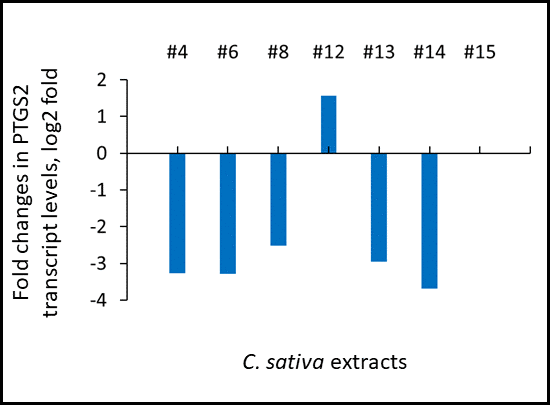 Effects of novel C. sativa extracts on the levels of PTGS2 gene expression as studied by the global transcriptome profiling using RNAseq. Induction of inflammation and treatments were described in the legend to Figure 1. Data are shown as log 2 fold changes as compared to UV-induced tissues. All changes shown here are statistically significant, p adj 