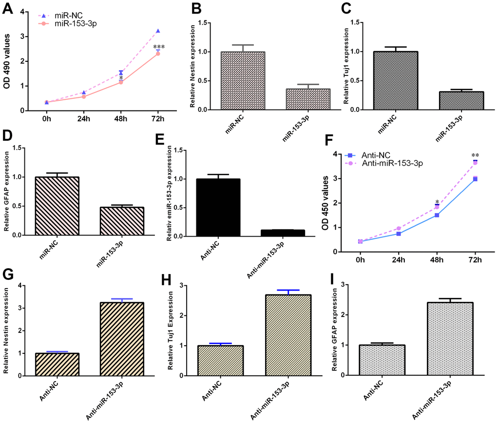 miR-153-3p suppresses NSC differentiation and proliferation. (A) Ectopic expression of miR-153-3p inhibited NSC proliferation. (B) Overexpression of miR-153-3p decreased nestin expression. (C) The expression of Tuj1 was detected by qRT-PCR. (D) The expression of GFAP was measured by qRT-PCR. (E) The expression of miR-153-3p was measured by qRT-PCR. (F) The suppression of miR-153-3p increased NSC growth. (G) Nestin expression was measured by qRT-PCR. (H) The expression of Tuj1 was detected by qRT-PCR. (I) The expression of GFAP was measured by qRT-PCR. *p