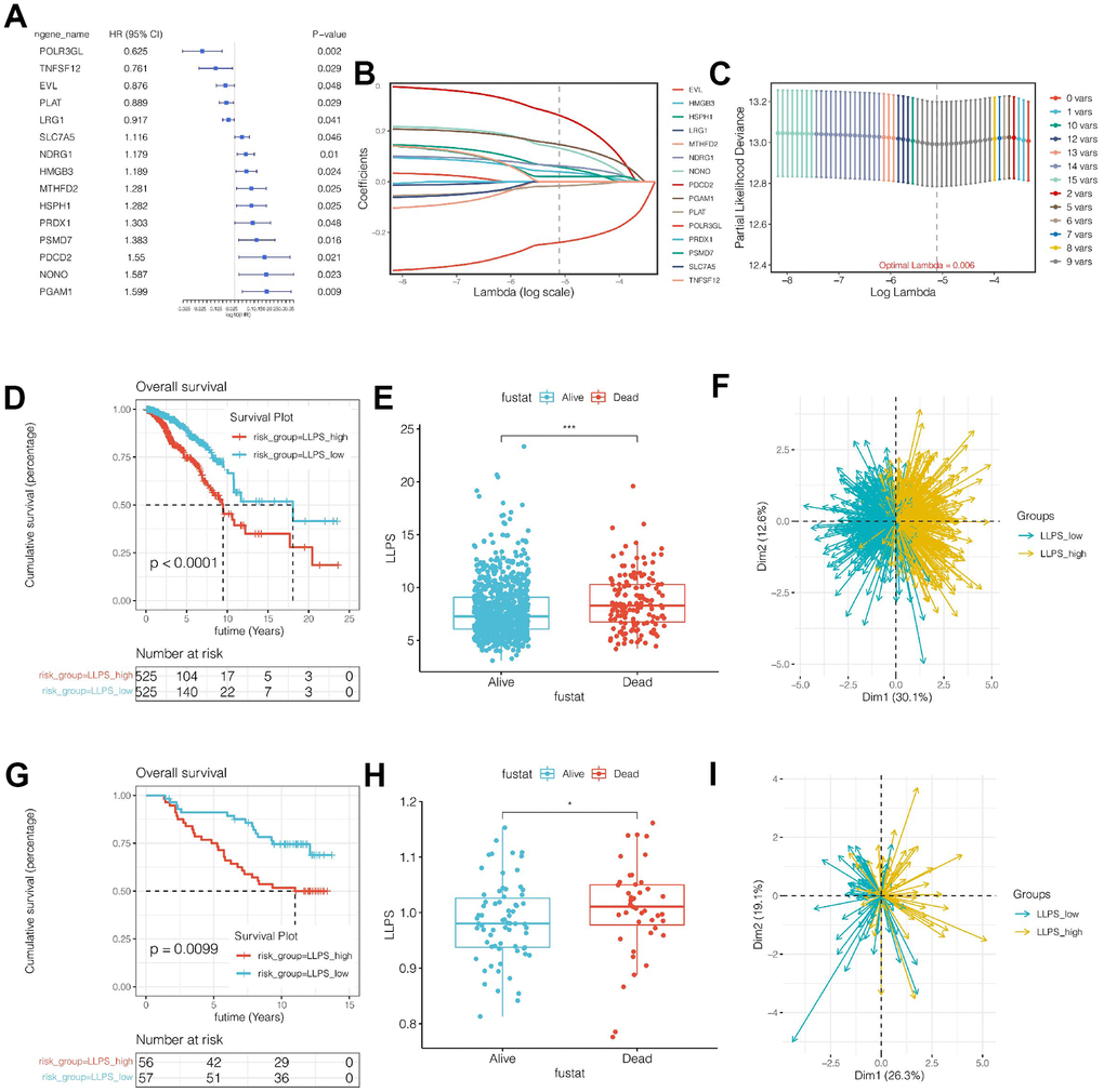 Construction and validation of the prognostic model. (A) Univariate COX analysis of intersection genes. (B, C) Prognostic model was established by Lasso regression. (D) Survival analysis of TCGA cohort. The LLPS