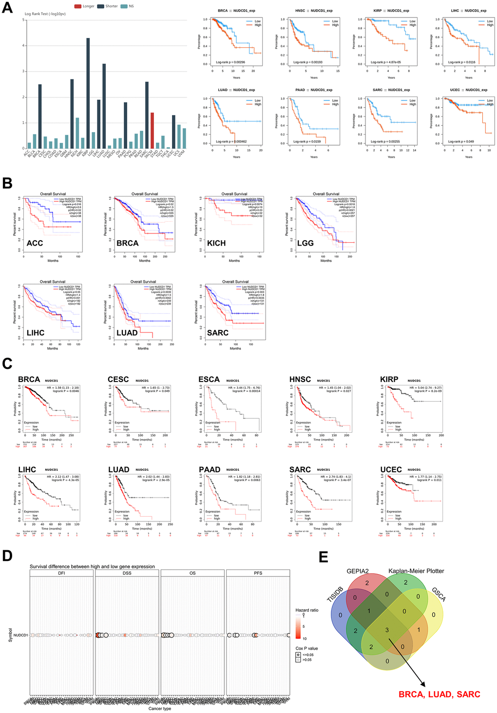 Correlation between NUDCD1 expression and overall survival prognosis of cancers. (A) Associations between NUDCD1 expression and overall survival across human cancers from TISIDB. (B) Associations between NUDCD1 expression and overall survival across specific human cancers from GEPIA2. (C) Effects of NUDCD1 expression on overall survival in multiple cancer types (data from Kaplan-Meier Plotter). (D) Survival differences between high and low NUDCD1 expression groups in multiple cancers (data from GSCA). (E) Wayne diagram summarizing the overall survival data from TISIDB, GEPIA2, Kaplan-Meier Plotter and GSCA.