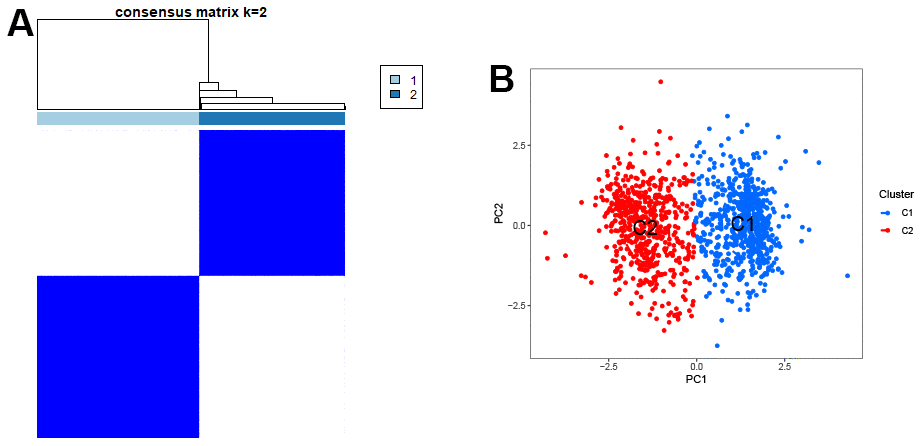 Clustering of characteristic genes. (A) Typing of characteristic genes for samples. (B) The scatter plot of PCA.