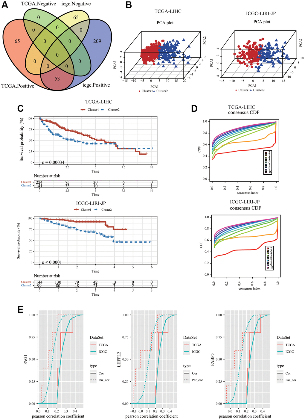 Identification of the three HCC-specific mTORC1 signaling-related genes. (A) Venn diagram showed that 53 mTORC1-related genes were positively correlated with mTORC1 scores in TCGC-LIHC and ICGC-LIRI-JP cohorts. (B) The 3D plots of PCA of TCGC-LIHC and ICGC-LIRI-JP dataset according to 53 genes’ expression levels in different risk groups. (C) The prognosis was significantly different between the two clusters in TCGC-LIHC and ICGC-LIRI-JP cohorts. (D) The relative alterations in the area under the CDF curves, and tracking plots exhibited the index from 2 to 9 in TCGC-LIHC and ICGC-LIRI-JP cohorts. (E) PAG1, LHFPL2, and FABP5 were identified as critical mTORC1-related genes, regardless of whether the first-order partial correlation is modified.