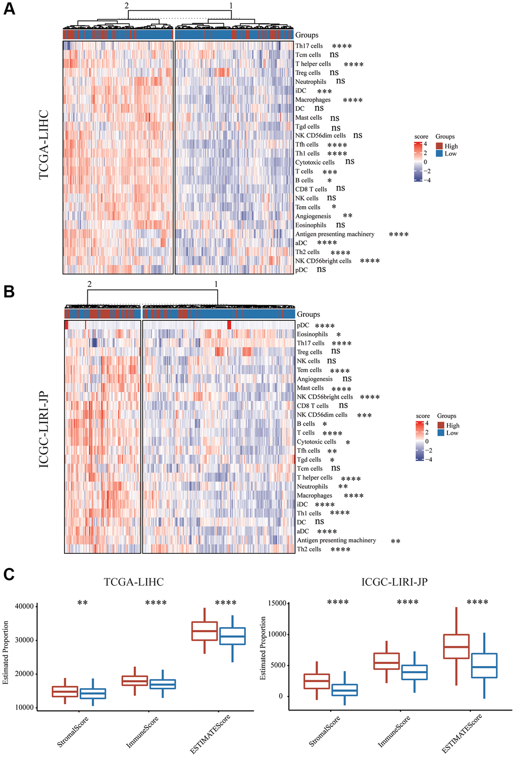 Immune characteristics of mTORC1 signaling-related subgroups. (A) Variations in immune infiltration scores were evaluated in TCGA-LIHC cohort. (B) The variation in multiple immune infiltration scores was assessed in ICGC-LIRI-JP cohort. (C) Immune score, stromal score and ESTIMATE score differences across the group with high and low risk.