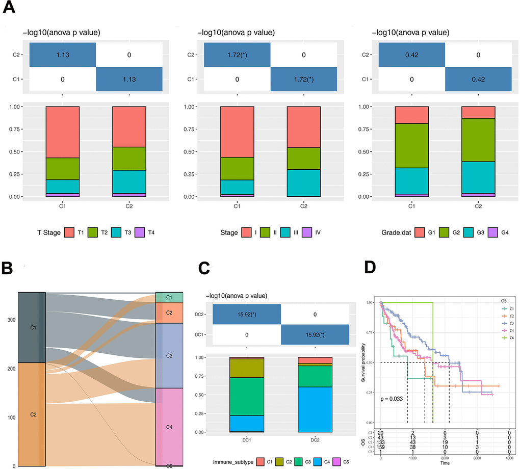 Analysis of clinical and immunological characteristics of C1 and C2 subtypes. (A) The distribution of clinical characteristics of C1 and C2 subtypes. (B) Sankey Diagram showing the distribution of immune subtypes in C1 and C2. (C) The differences of immune subtypes distribution between C1 and C2. (D) Survival curve analysis of immune subtypes. The asterisks represent the P-value (*p 