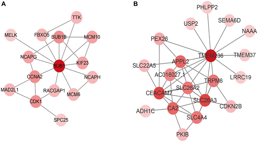 The network of candidate tumor driver genes in two modules. (A) The network of candidate tumor driver genes in brown module. (B) The network of candidate tumor driver genes in blue module.