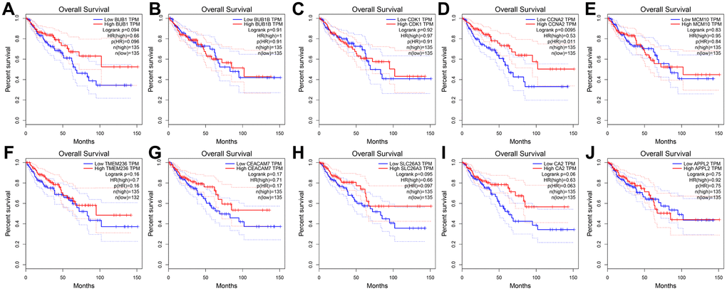 Overall survival analysis of 10 key genes in CRC (based on TCGA data in GEPIA). (A–J) Expression levels of CCNA2 are significantly related to the overall survival of patients with CRC (P 