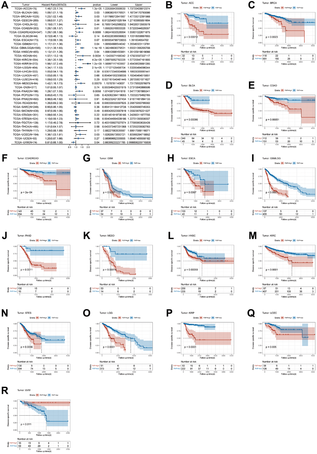 Association between FAP expression levels and disease-specific survival (DSS). (A) Forest plot of association of FAP expression and DSS in pan-cancer. (B–R) Kaplan-Meier analysis of the association between FAP expression and DSS.
