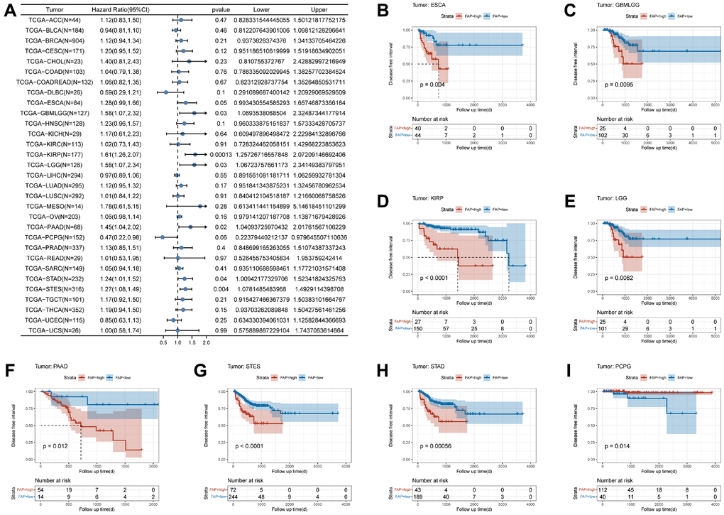 Association between FAP expression levels and disease-specific survival (DFI). (A) Forest plot of association of FAP expression and DFI in pan-cancer. (B–I) Kaplan-Meier analysis of the association between FAP expression and DFI.