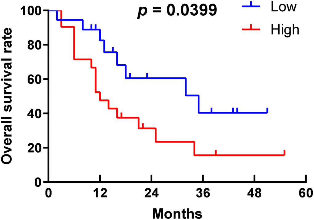 Survival curve of PDAC patients.