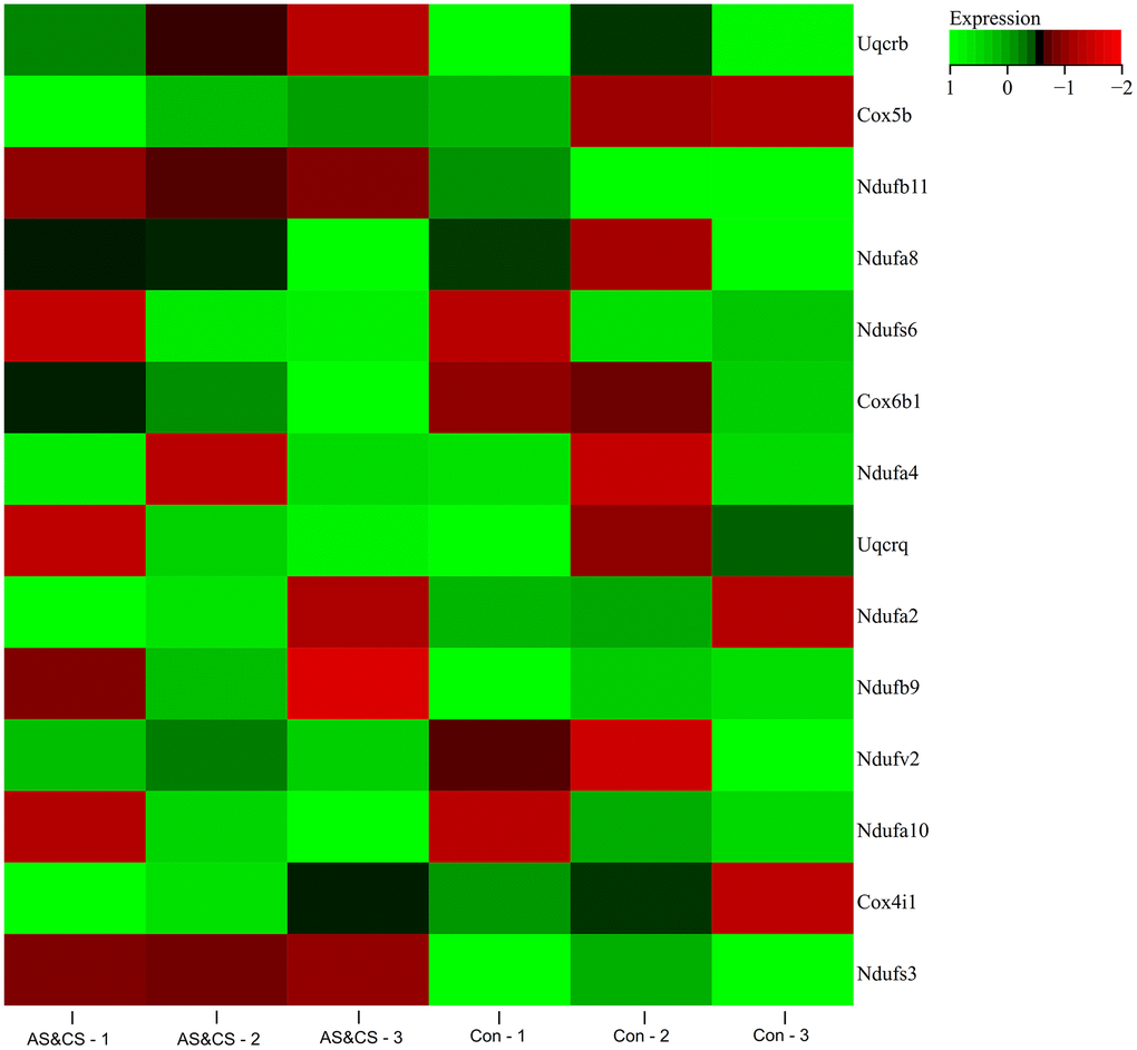 Gene expression heatmap. Visualized the expression Heatmap of the core genes in the samples.