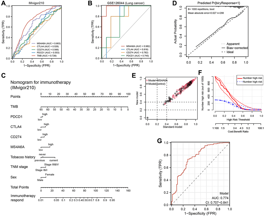 Construction and validation of MS4A6A-based immunotherapy predictive model. (A) ROC curves for MS4A6A, PD-1, PD-L1, and CTLA4 based on the GSE126044 cohort. (B) ROC curves for TMB, MS4A6A, PD-1, PD-L1, and CTLA4 based on the IMvigor210 cohort. (C) Immunotherapy prediction model nomogram. (D) Calibration curves of the immunotherapy prediction model. (E) Comparison of prediction accuracy of immunotherapy model with and without MS4A6A. (F) Clinical decision curves of the immunotherapy prediction model. (G) The ROC curve of clinical model (AUC = 0.774).