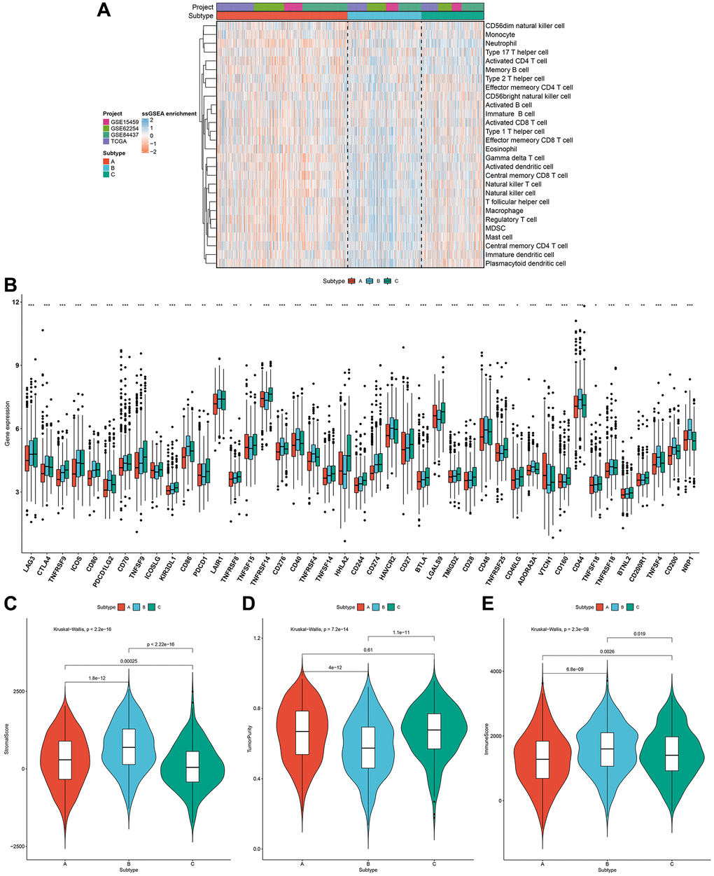Pyroptosis phenotypes with different immune landscapes in the gastric cancer meta-cohort. (A) The relative abundance of 28 immune cells in the TME among distinct pyroptosis phenotypes through ssGSEA. (B) The mRNA expression of the main immune checkpoints among three pyroptosis phenotypes. The asterisks indicated the statistical p-values (*p **p ***p C–E) The stromal score, tumor purity and immune score in three pyroptosis phenotypes.