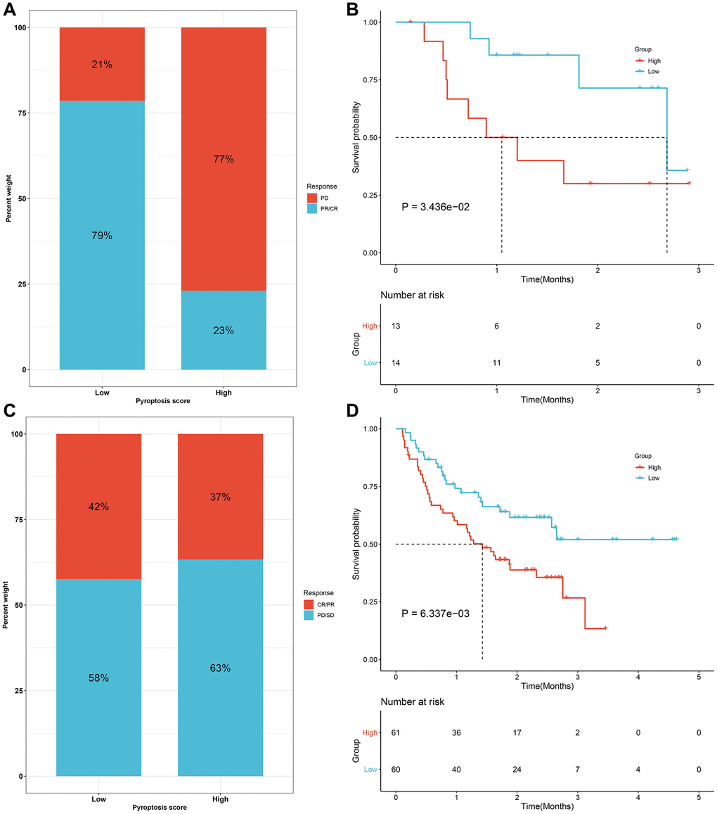 Validation of the predictive efficacy of the pyroptosis score for immunotherapeutic responses in two anti-PD-1 cohorts. (A) The fraction of patients with clinical response to anti-PD-1 therapy in high and low pyroptosis score groups from the GSE78220 cohort. (B) Kaplan-Meier curves for patients with high and low pyroptosis scores in the GSE78220 cohort (log-rank test). (C) The fractions of patients who presented therapeutic responses to anti-PD-1 therapy in high and low pyroptosis score groups from the Liu cohort. (D) Kaplan-Meier curves of patients with high and low pyroptosis scores in the Liu cohort (log-rank test). Abbreviations: CR: complete response; PR: partial response; SD: stable disease; PD: progressive disease.
