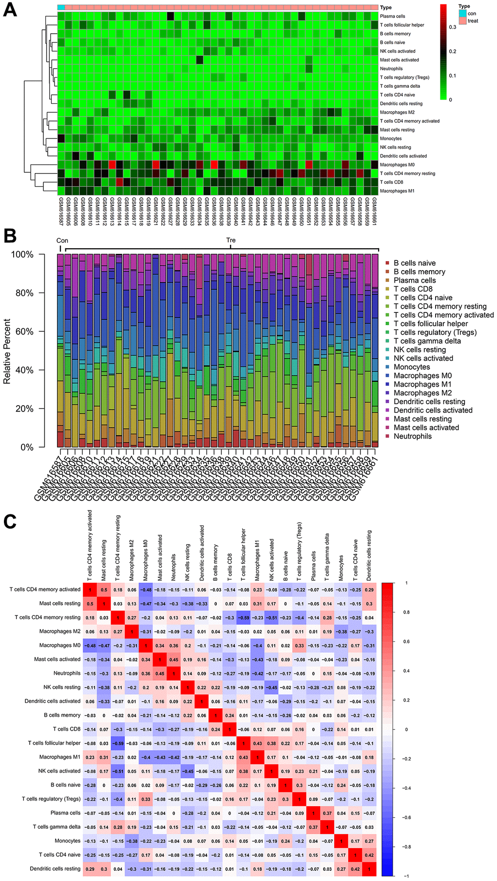 Immune infiltration analysis. (A) The proportion results of immune cells from the full gene expression matrix (B) The immune cell expression heatmap in the dataset (C) Diagram of coexpression patterns among immune cell components.