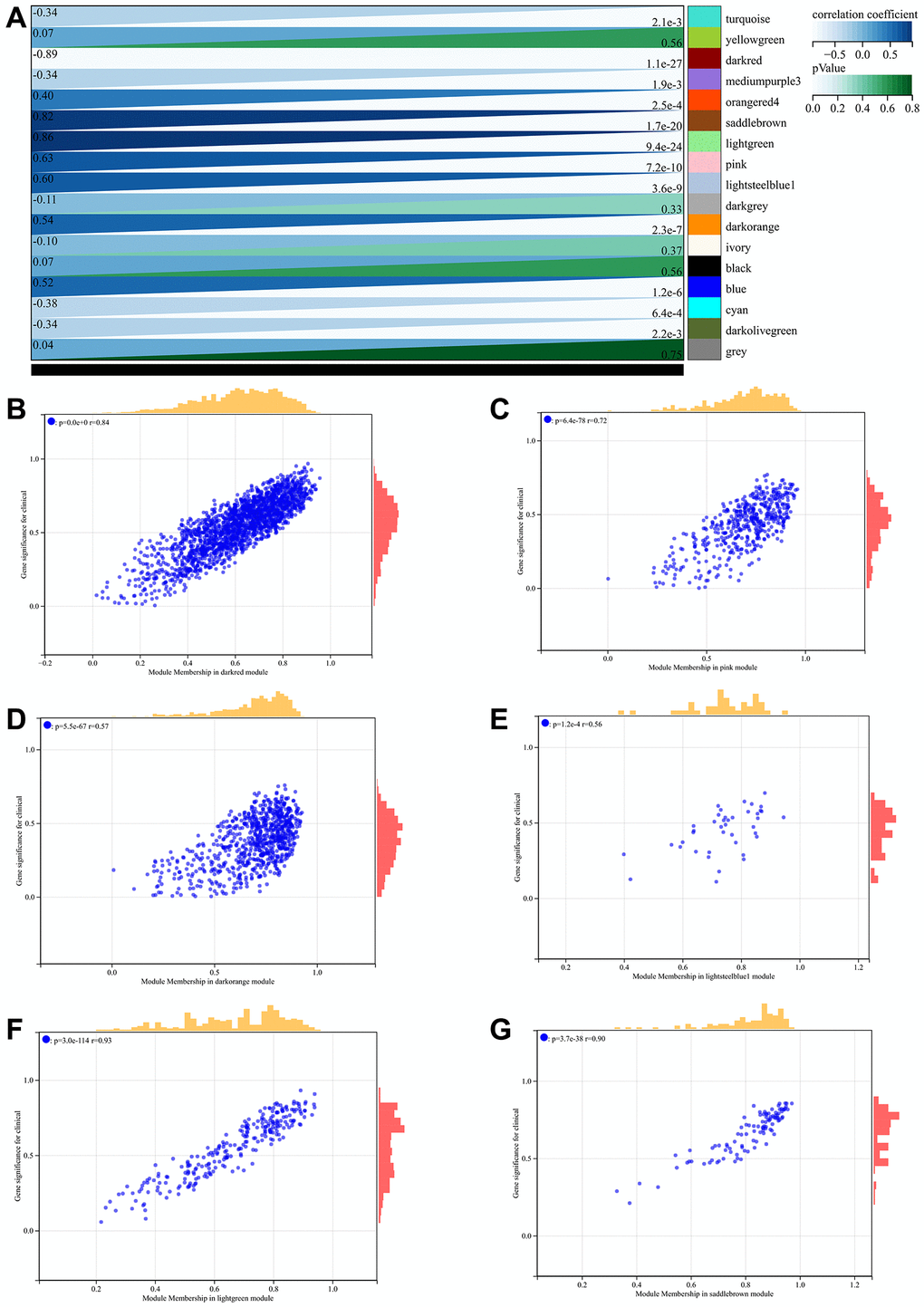 WGCNA. (A) Generated module to phenotype correlation heatmaps (B–G) GS to MM correlation scatter plots for the associated hub genes.