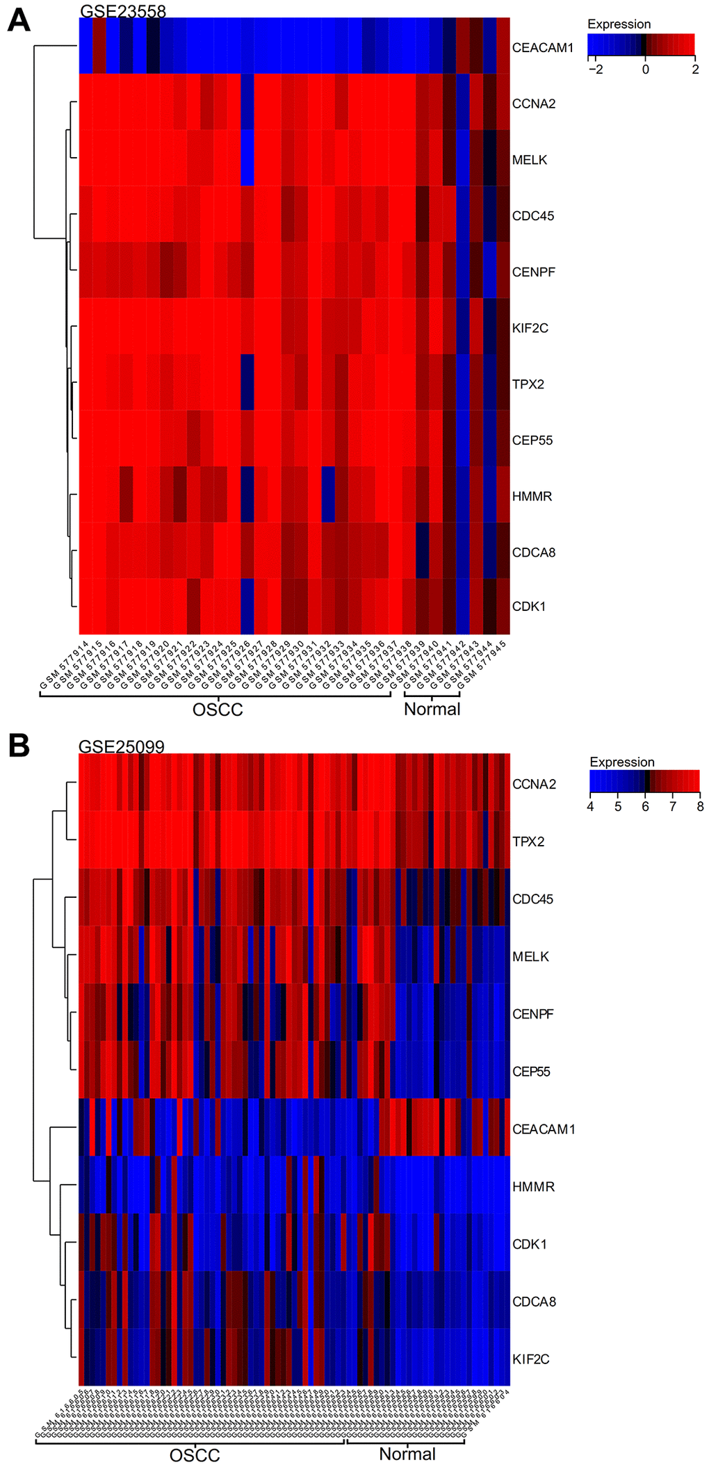 Gene expression heat map. (A) GSE23558. (B) GSE25099.