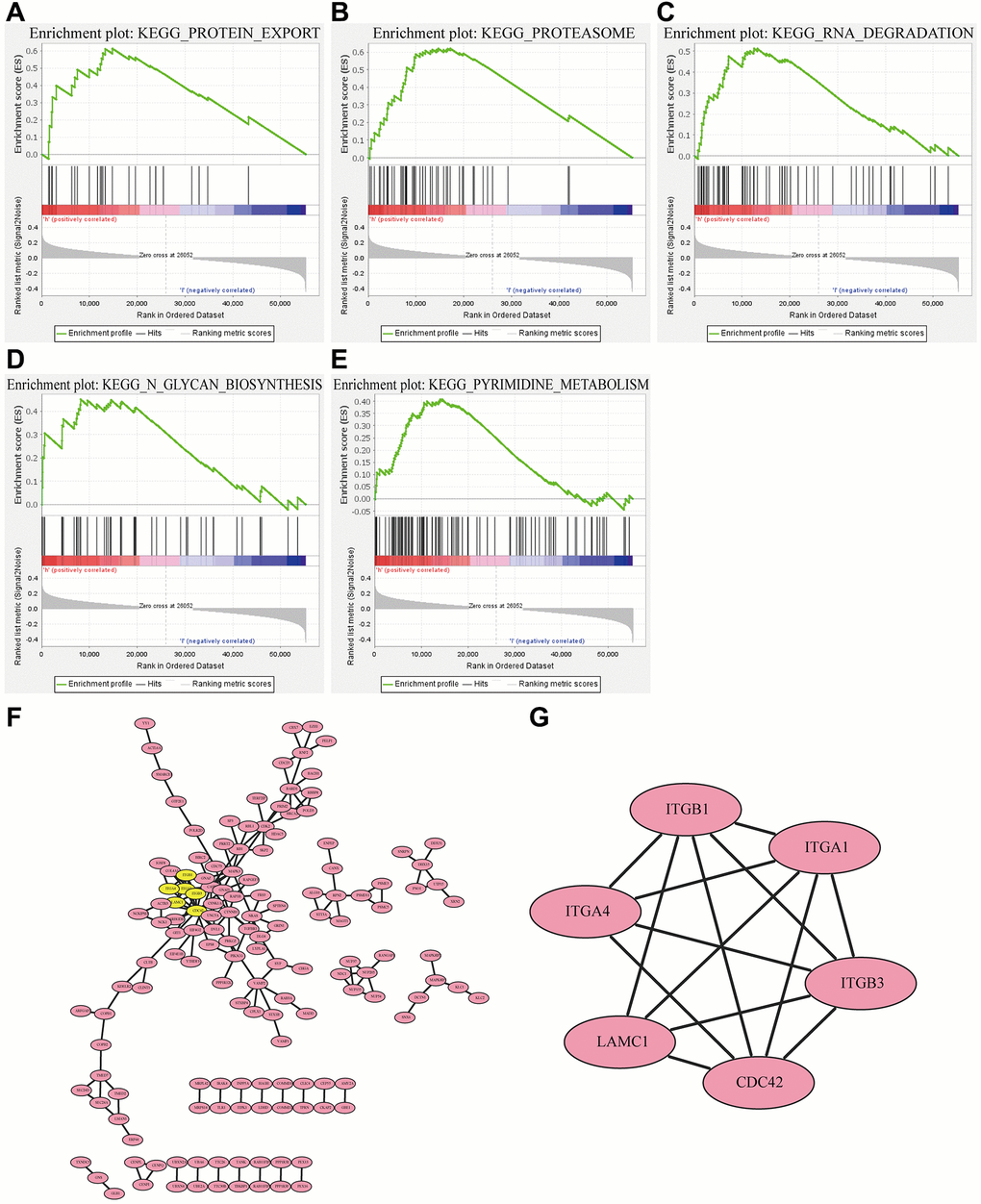 RP2-associated (A–E) pathways and (F) protein interaction networks as well as (G) the most correlated clusters.