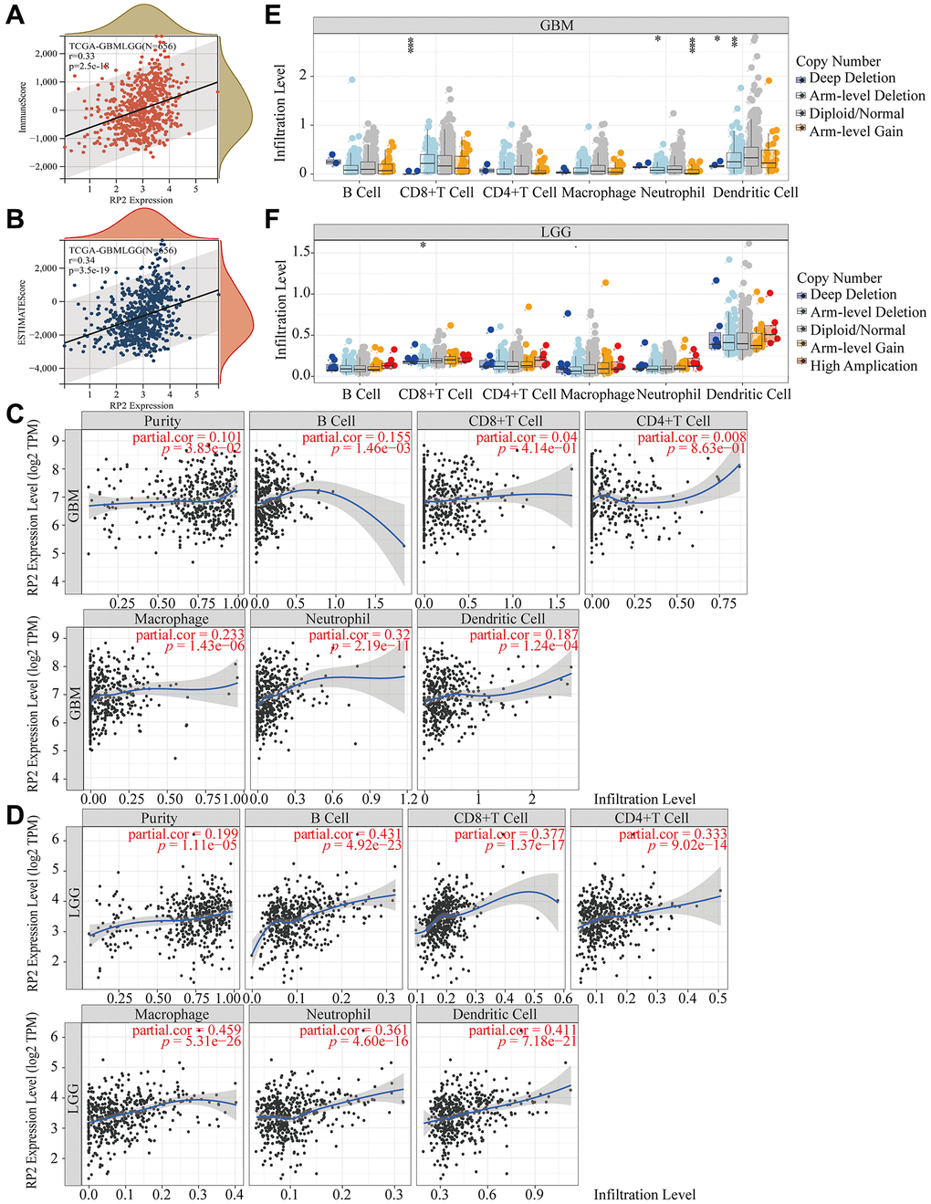 RP2 is associated with tumor immune microenvironment in LGG and GBM. (A, B) Correlation between RP2 and immune score and estimated score. (C, D) Correlation between tumor infiltrating immune cells and RP2 expression. (E, F) Correlation between CNV of RP2 and the degree of immune cell infiltration in LGG and GBM.