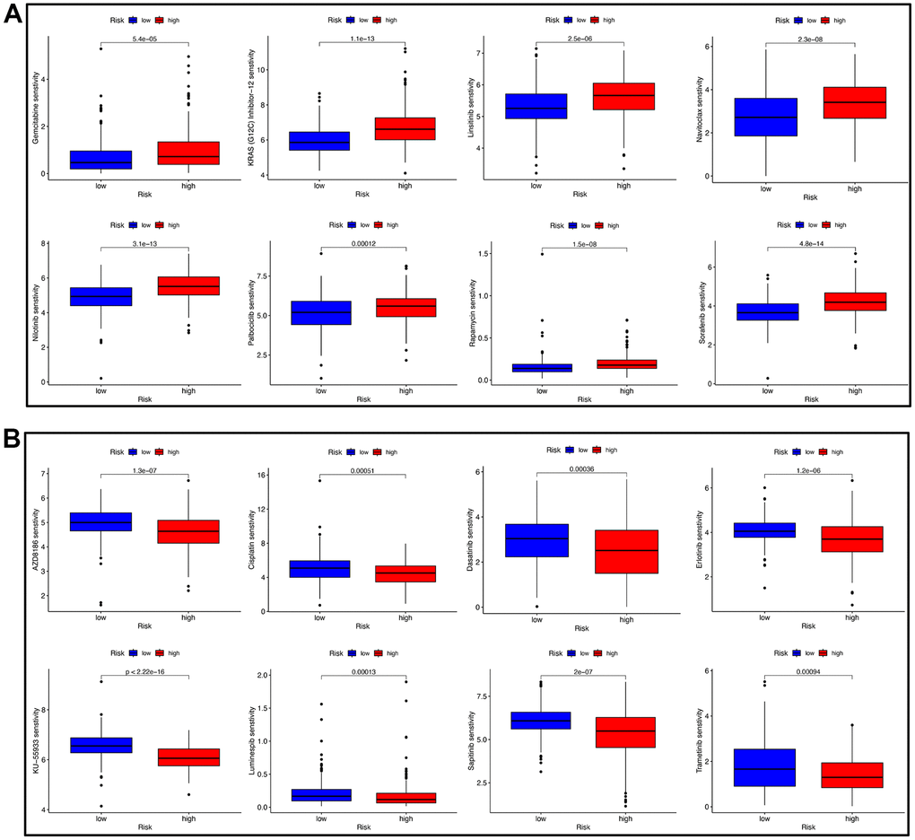 Drug sensitivity analysis. (A) BC patients with a high-risk score had a higher IC50 value of eight therapeutic drugs compared with patients with a low-risk score. (B) BC patients with a high-risk score had a lower IC50 value of many therapeutic drugs compared with patients with a low-risk score.