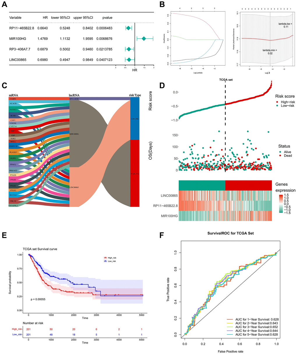 Construction and evaluation of LMRLs-based prognostic signature. (A) The LMRLs associated with the prognosis of BLCA patients were extracted by univariate Cox regression analysis. (B) LASSO regression analysis reserved 3 prognostic features LMRLs. (C) The Sanberry plot demonstrates lncRNA-mRNA co-expression relationships. (D) Distributions of risk score and survival status of BLCA patients and heatmap of the 3 genes signature in the training set. (E) KM survival curves for high and low-risk groups in the training set. (F) ROC curve of the 3 gene signature for predicting the 1, 3, and 5 years survival in the training set.