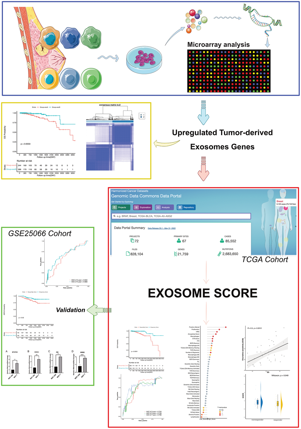 Strategy for identifying upregulated tumor-derived exosomes genes and exosomes score in this study.