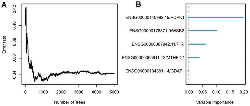 Construction and validation of exosome scores. (A) The relationship between error rate and the number of trees. (B) Random Forest feature importance ranking for the five predictive features.
