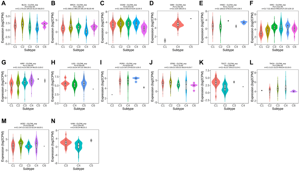Correlation between CLCN4 expression and tumor immune subtypes. Expression of CLCN4 in TISIDB in different tumor immune subtypes. (A) BLCA. (B) BRCA. (C) COAD. (D) GBM. (E) HNSC. (F) KIRC. (G) KIRP. (H) LGG. (I) PCPG. (J) STAD. (K) TGCT. (L) THCA. (M) UCEC. (N) UVM.