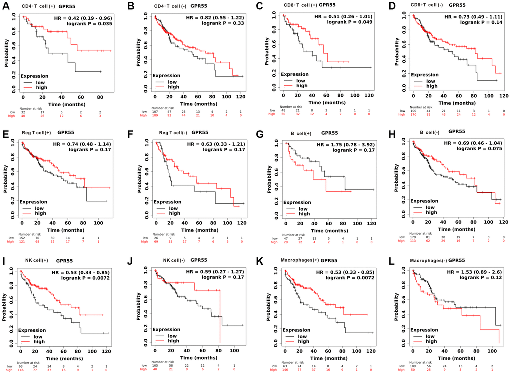 Total survival analysis of GPR55 expression in HCC with different immune cell subsets. (A, B) CD4+T cell. (C, D) CD8+T cell. (E, F) Reg T cell. (G, H) B cell. (I, J) NK cell. (K, L) Macrophages.