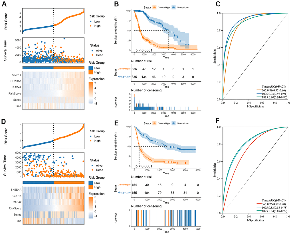 Construction of the risk score signature. (A) Distribution of the risk score, survival status, and expression profile of the prognostic genes in the TCGA cohort. (B) Kaplan-Meier curves displaying prognostic differences between high and low-risk groups in the TCGA cohort. (C) The ROC curves describing the sensitivity and specificity of the risk score in predicting OS at 1-, 3- and 5-year time points in the TCGA cohort. (D) Distribution of the risk score, survival status, and expression profile of the prognostic genes in the CGGA cohort. (E) Kaplan-Meier curves displaying prognostic differences between high and low-risk groups in the CGGA cohort. (F) The ROC curves describing the sensitivity and specificity of the risk score in predicting OS at 1-, 3- and 5-year time points in the CGGA cohort.