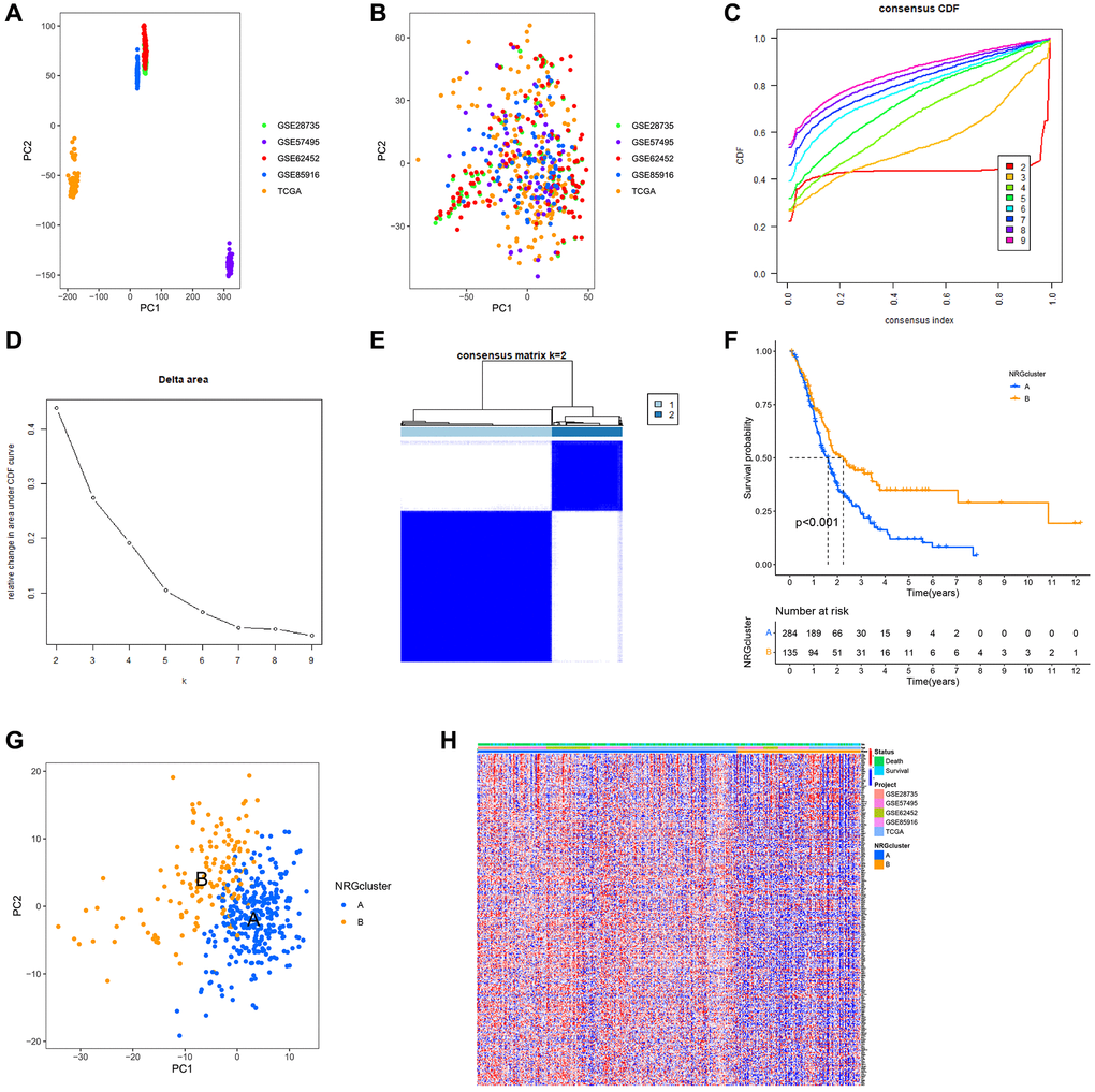 Establishment of neutrophils-related genes (NRGs) cluster subtypes. (A) Principal component analysis (PCA) plot of the overall expression of all samples before batching. (B) PCA plot of the overall expression of all samples after batching. (C–E) Process and results of consistency cluster analysis, which classified the data into NRGclusters A and B. (F) Survival curves of patients with NRGclusters A and B. The prognosis of patients with NRGcluster B was significantly better than that of patients with NRGcluster A. (G) PCA plot of NRGclusters A and B. (H) The expression of neutrophil-associated genes in NRGclusters A and B, most neutrophil-associated genes are upregulated in NRGcluster A.