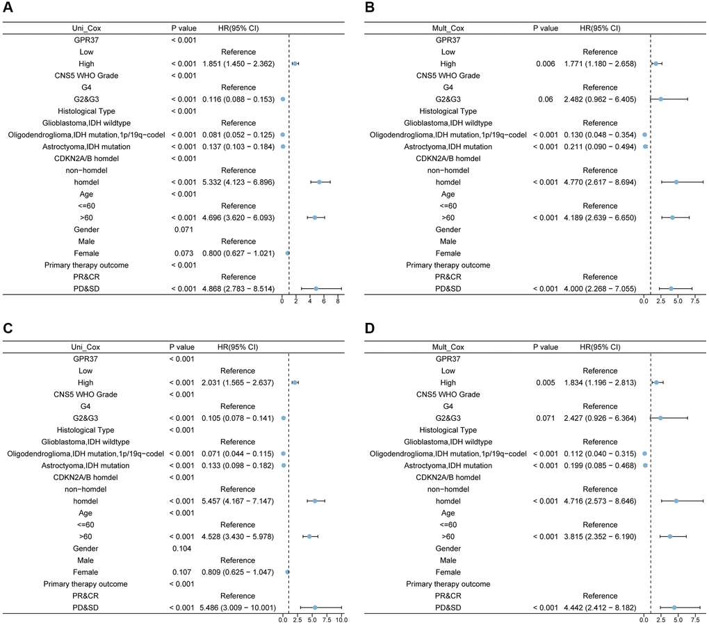 Univariate and multivariate Cox analysis of GPR37 expression, grade, histological type, CDKN2A/B homozygous deletion (homdel), radiation therapy, age, and gender for OS (A, B) and DSS (C, D). Abbreviations: OS: overall survival; DSS: disease specific survival; HR: hazard ratio.