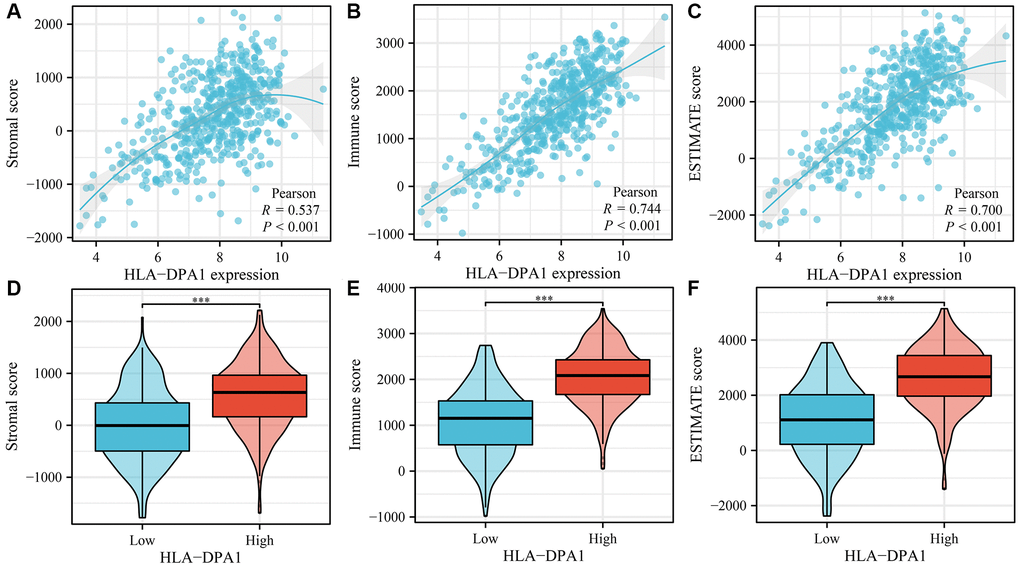 The correlation between the HLA-DPA1 overexpression and stromal, immune, and ESTIMATE scores in LUAD. (A–C) Correlation analysis with stromal, immune, and ESTIMATE scores; (D–F) Stromal, immune, and ESTIMATE scores in high- and low-HLA-DPA1 expression groups. Abbreviation: LUAD: lung adenocarcinoma.