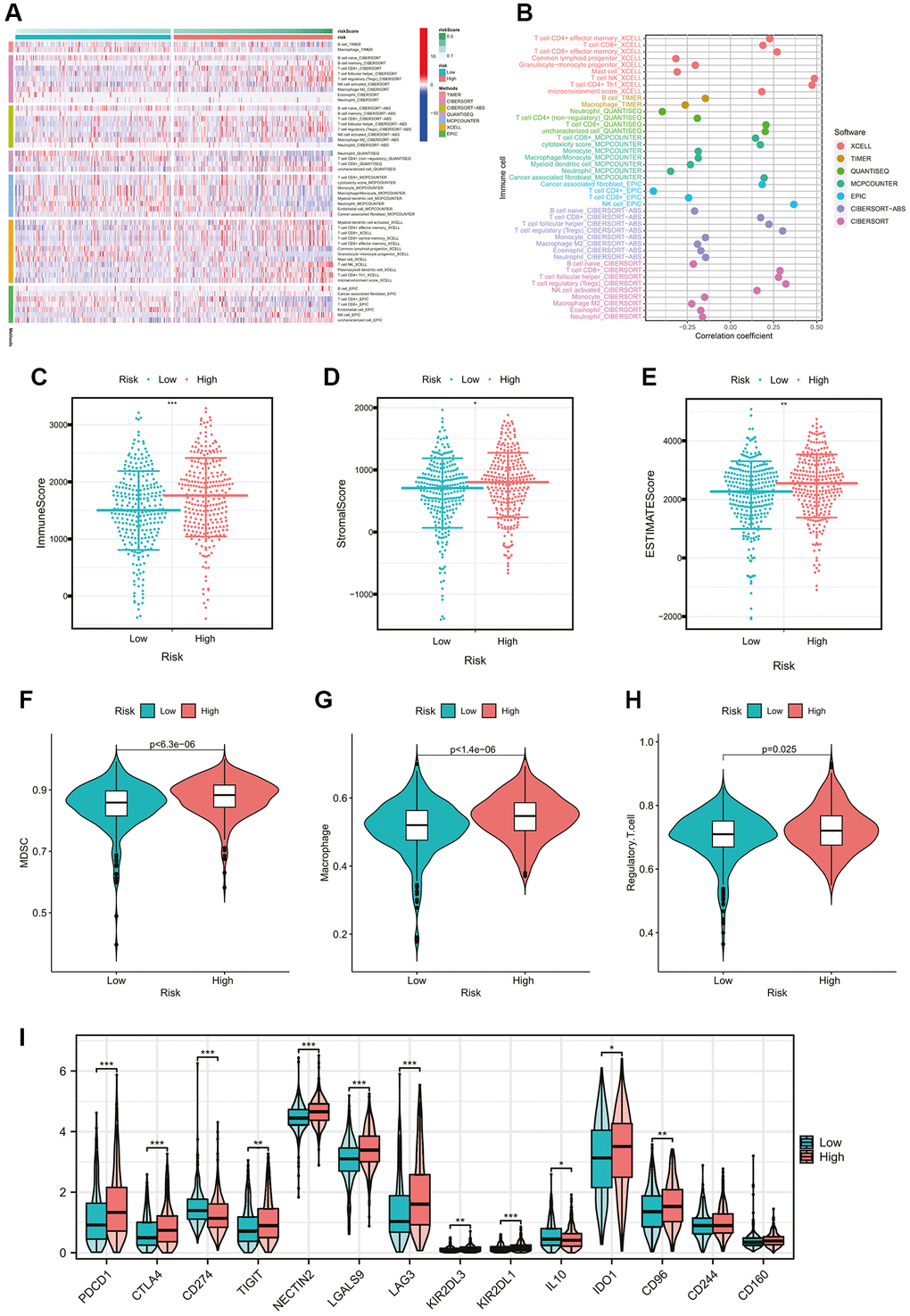 Comparison of immune cells and immune functions of ccRCC patients between risk groups. (A) The heatmap showing the tumor-infiltrating immune cells and risk scores by 7 mainstream algorithms. (B) The lollipop plot showing the correlation coefficients of tumor-infiltrating immune cells with CMGs-based risk scores. (C–E) Differential analysis of immune-related scores between risk groups based on the ESTIMATE algorithm. (F–H) Differential abundance analysis of major immunosuppressive infiltrating cells (MDSCs, macrophages, and Tregs) between risk groups based on the ssGSEA algorithm. (I) Differential expression analysis of the common immune checkpoint molecules between risk groups (PDCD1, p p p *p-value **p-value ***p-value 