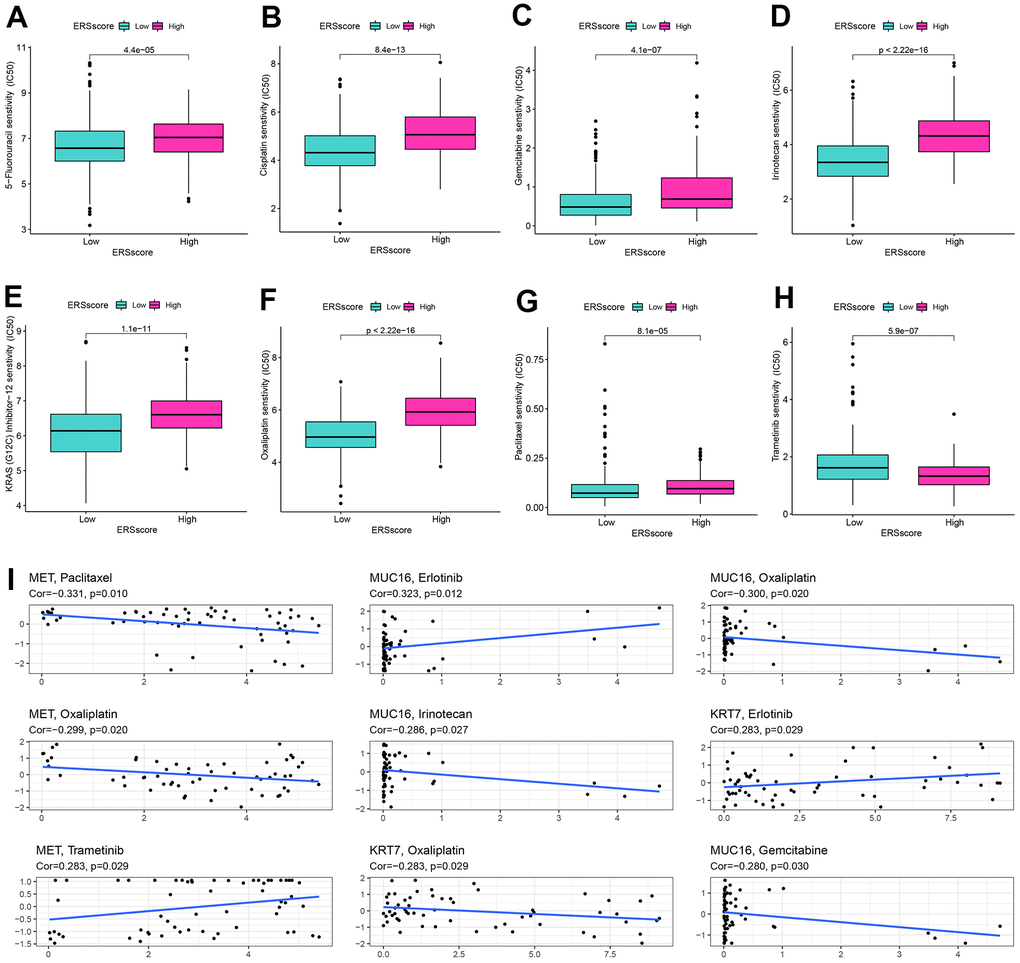 Drug sensitivity analysis. The sensitivity of 5-Fluorouracil (A), cisplatin (B), gemcitabine (C), irinotecan (D), KRAS (G12C) inhibitor-12 (E), oxaliplatin (F), paclitaxel (G), and trametinib (H) between the high and low ERS score groups. (I) Correlation of drug sensitivity and MET, KRT7, and MUC16 expression.